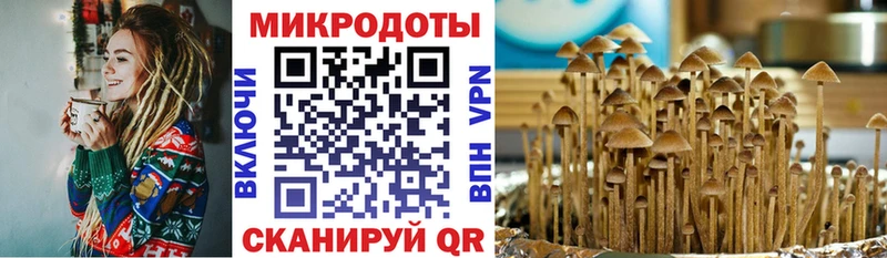 Галлюциногенные грибы прущие грибы  Туран 